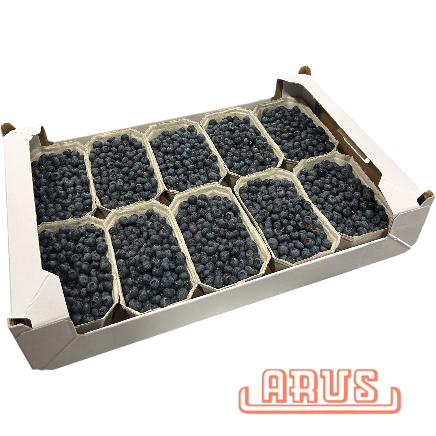 Gartenblaubeeren 10 x 500g -dtsch.-