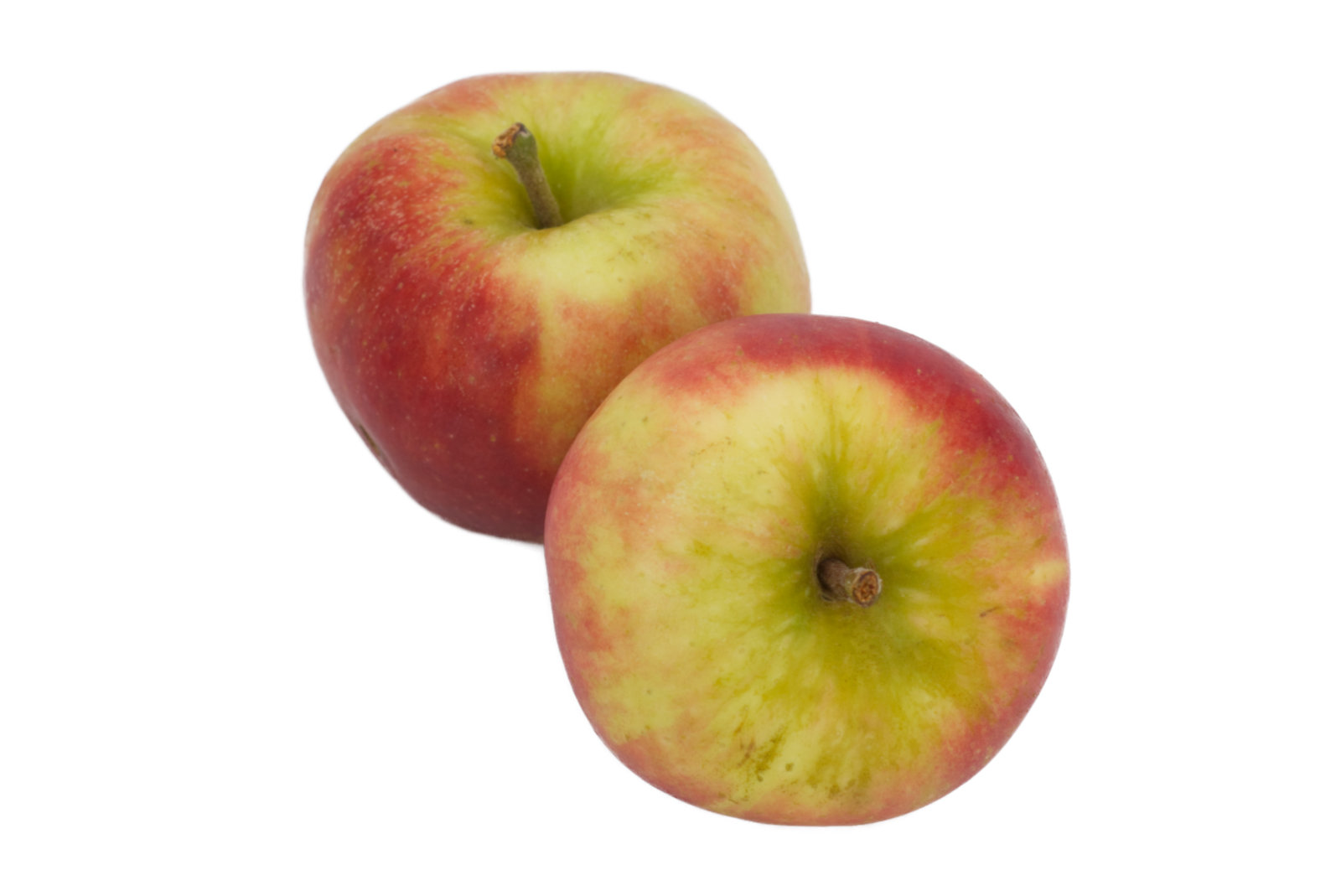 Bio-Äpfel Elstar "gelegt" 6,5kg