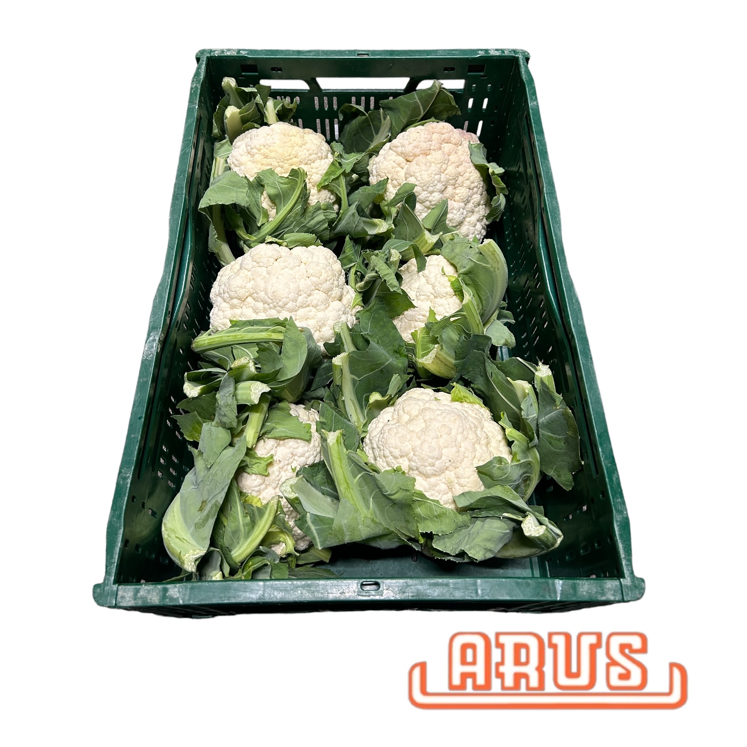 Blumenkohl 6er - belg. -