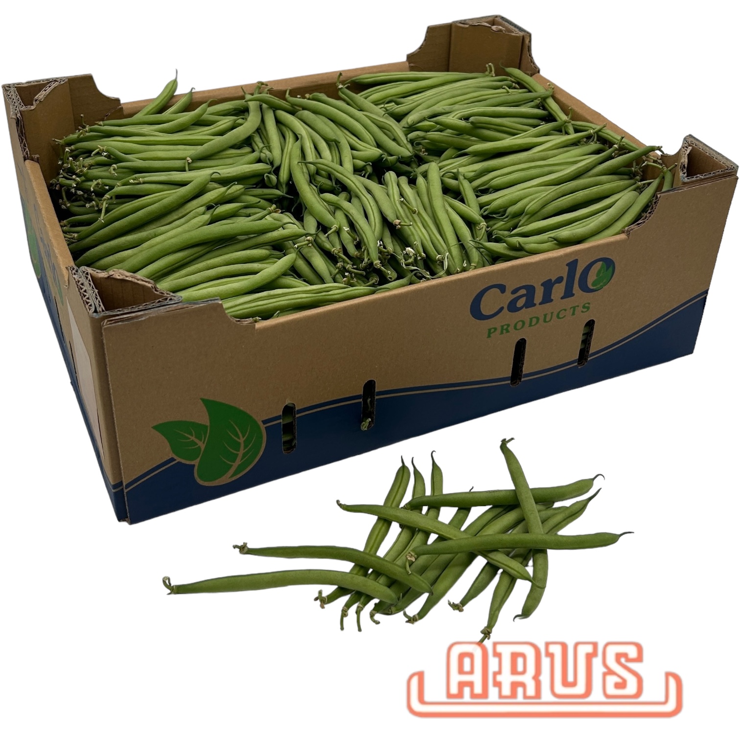 Brechbohnen 5kg  - maroc. -