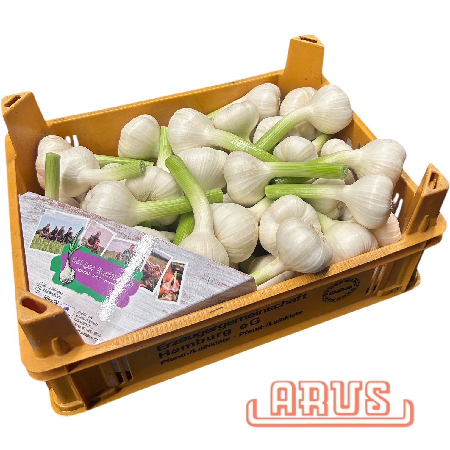 Knoblauch 5kg  "frisch, regional aus der L. Heide" - dtsch./EZG -