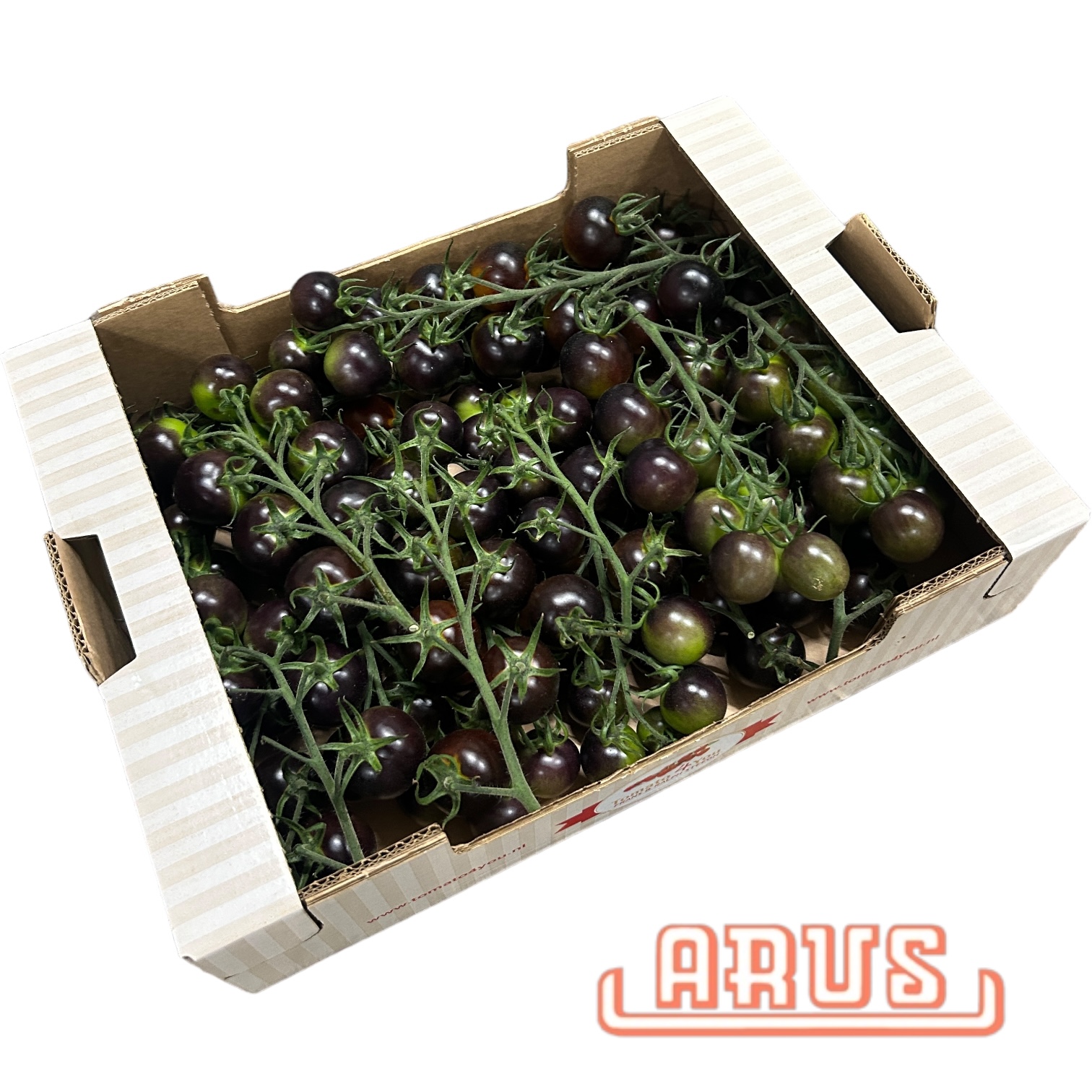 Cherrystraucht. "schwarze Tasty (würzig), Tomato4you" 3kg