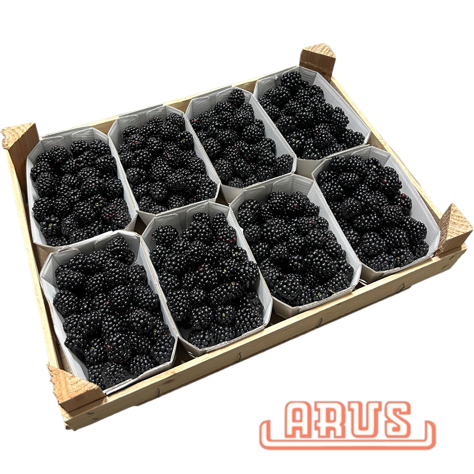 Brombeeren 8x250g -dtsch.-