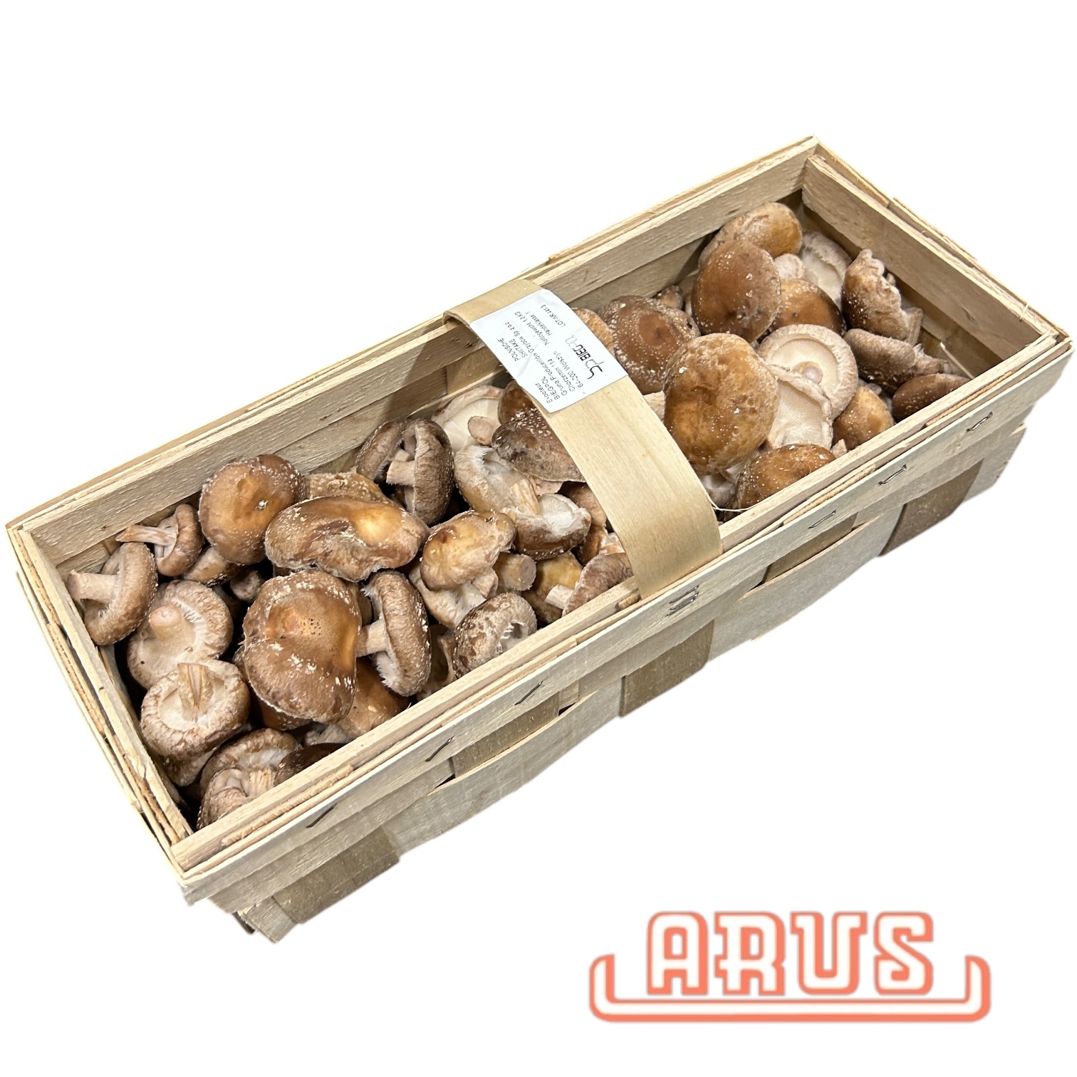 Shi Take Pilze 1kg - Korb -