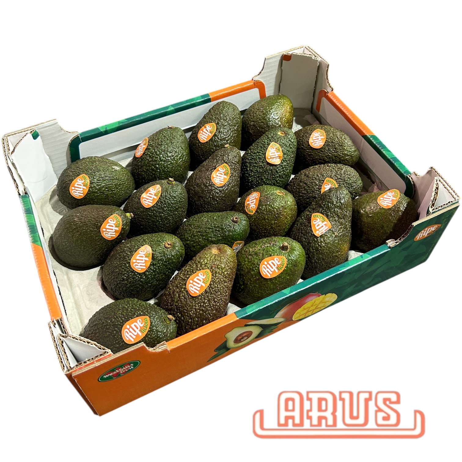 Avocados Hass "Hass Ripe Licicus" 18er -marok.-