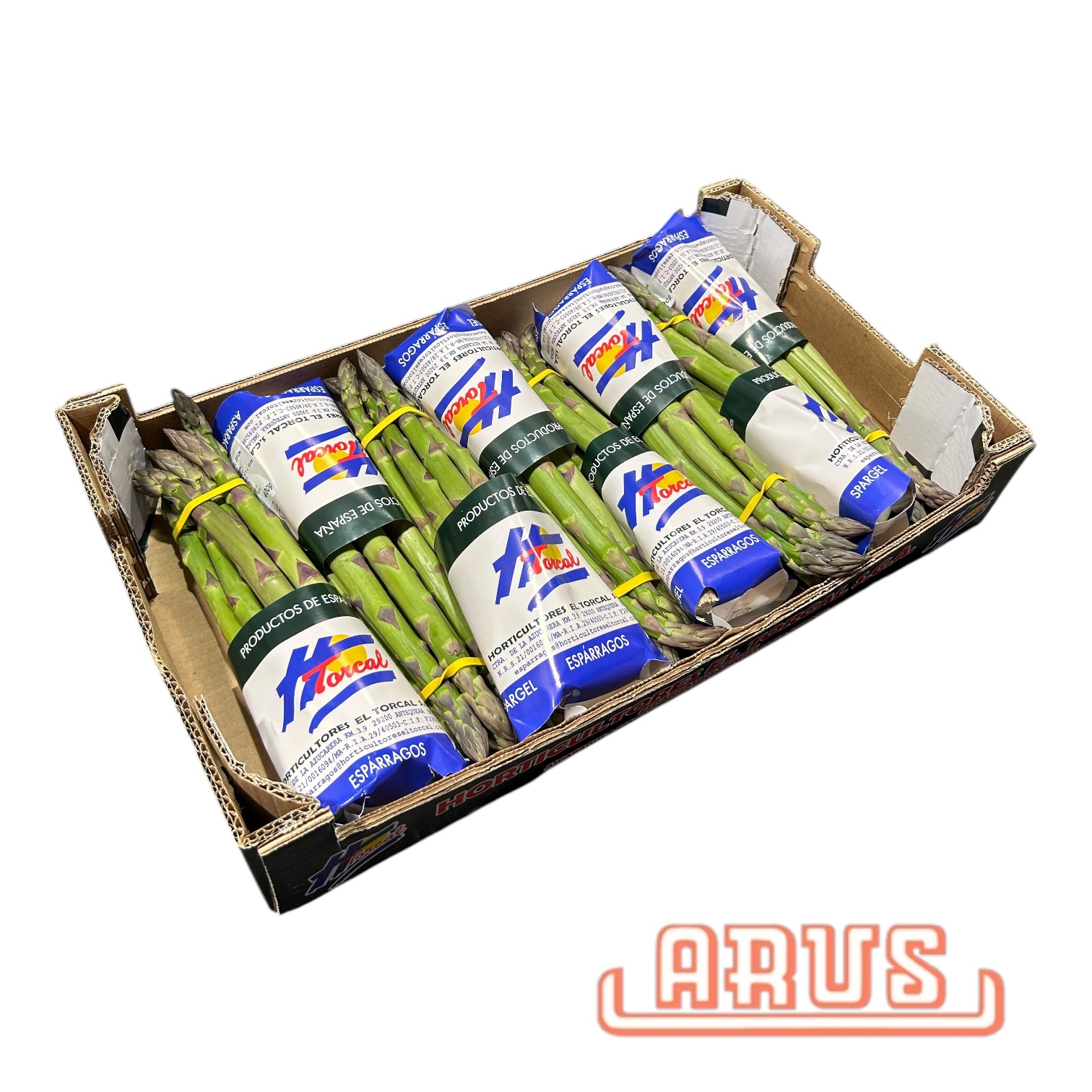 Spargel grün 16/24 8 x 400g -span.-