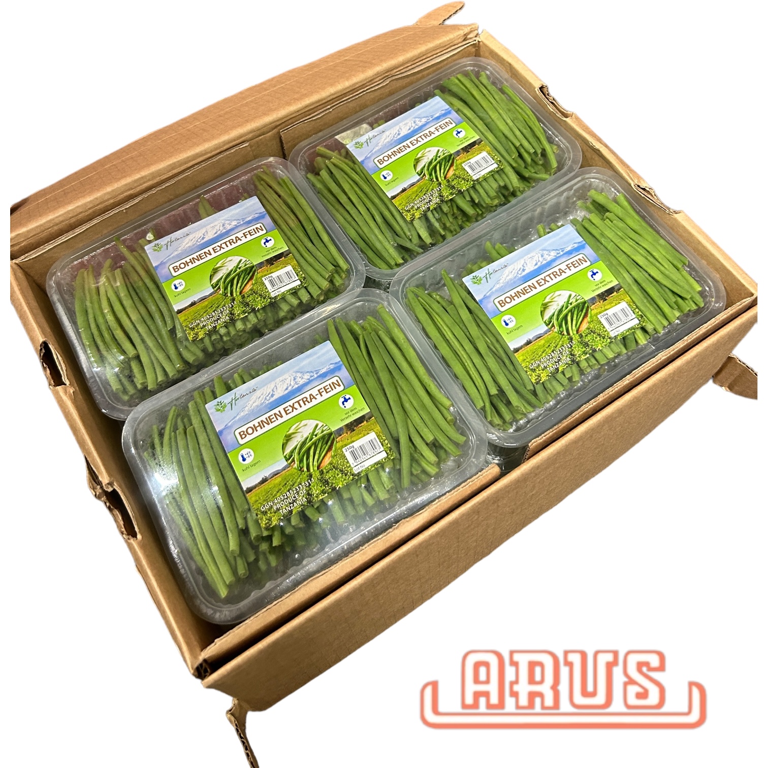 Bohnen extra fein "gepackt" 12x250g