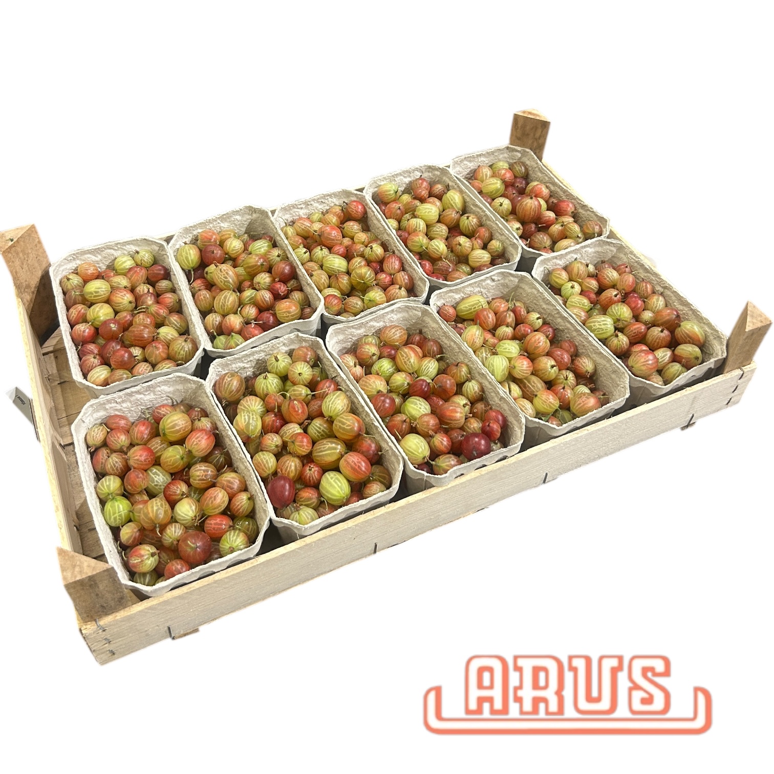 Stachelbeeren rot 10x500g