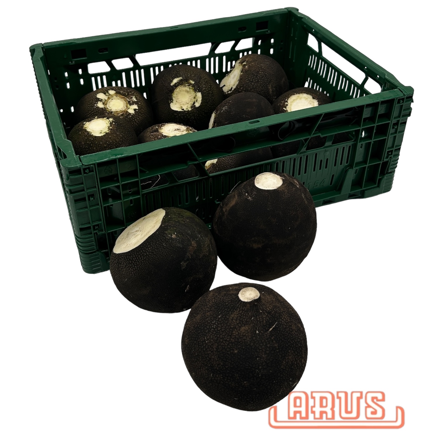 Rettich "schwarz, kugel" - STÜCK -