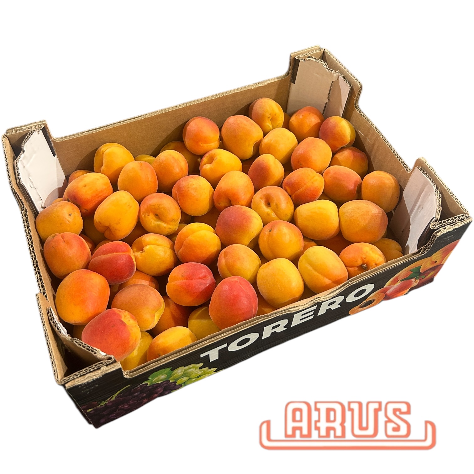 Aprikosen 5kg AA - span. -