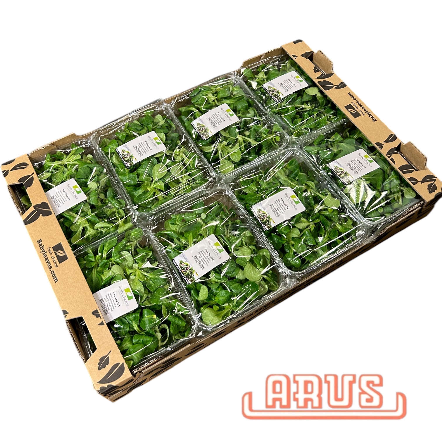 Feldsalat Schalen 8 x 100g