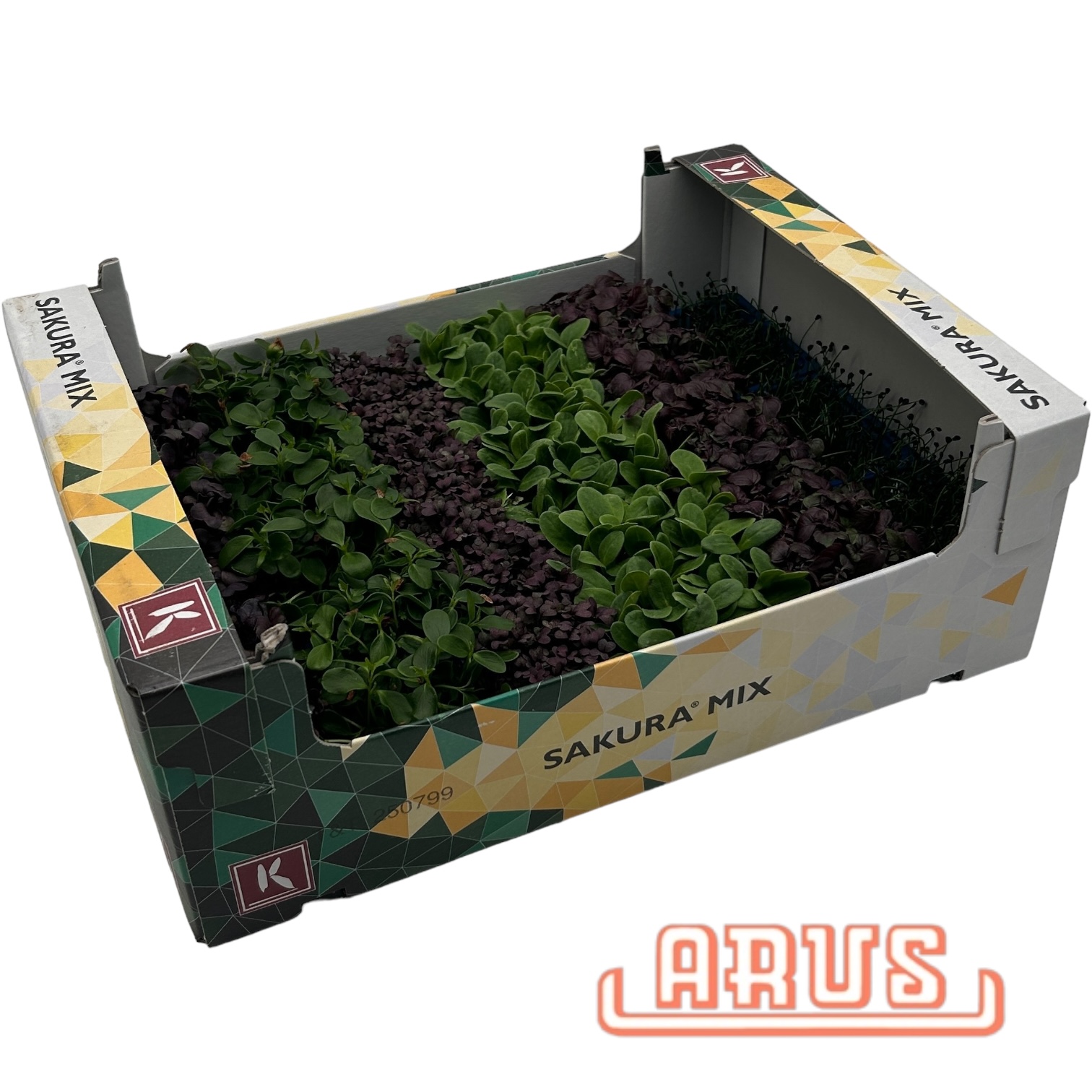Sakura Mix Kresse 18er