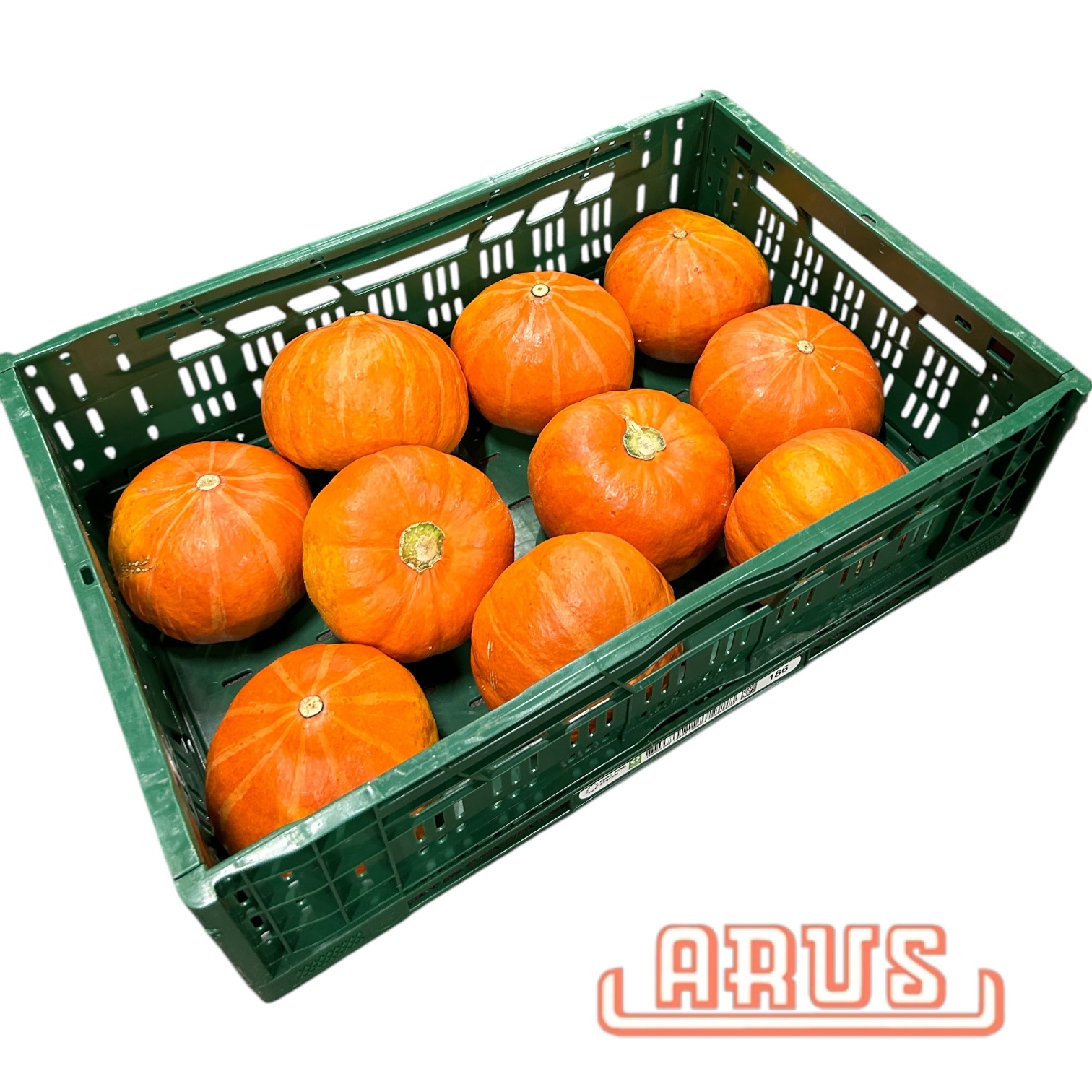 Kürbis Hokaido 10kg - niederl. -