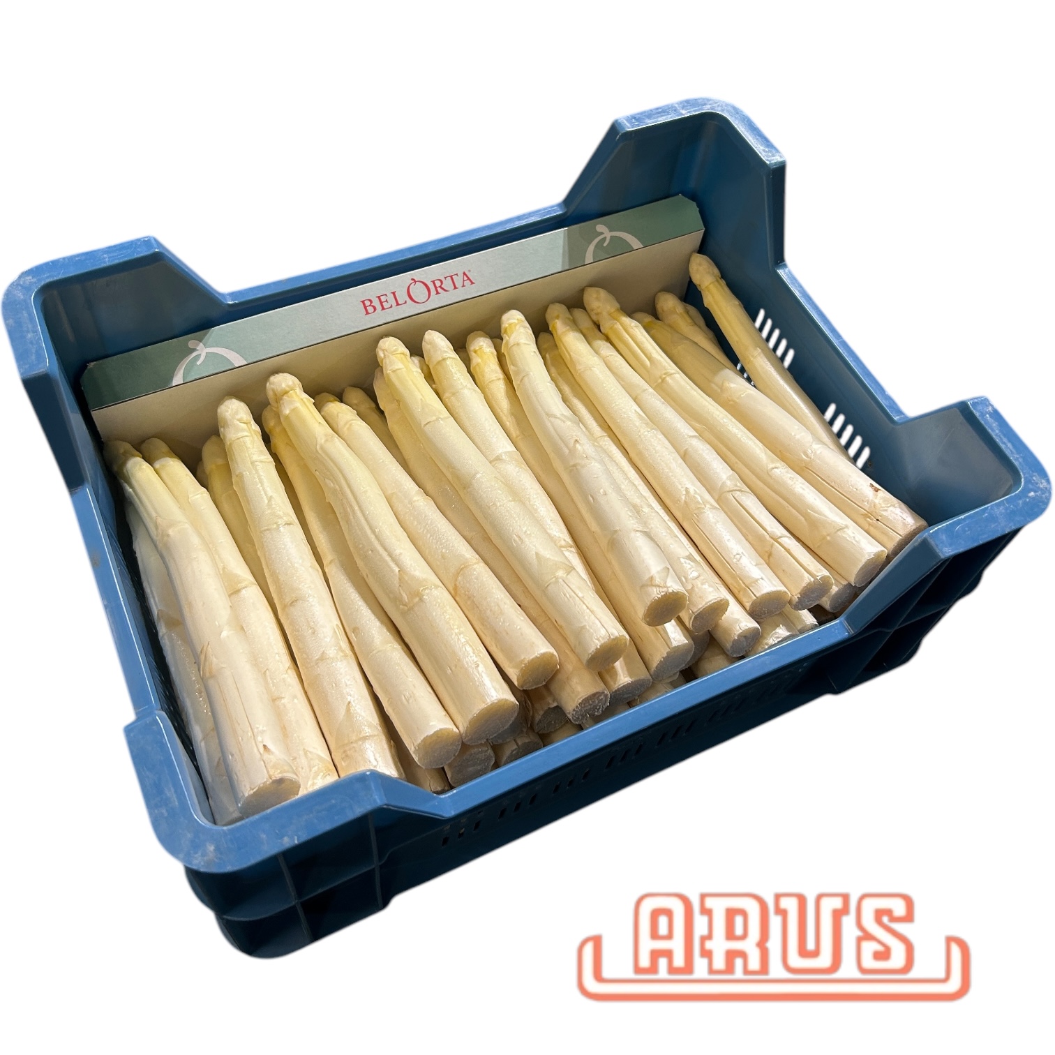 Spargel "weiss" AA 5kg