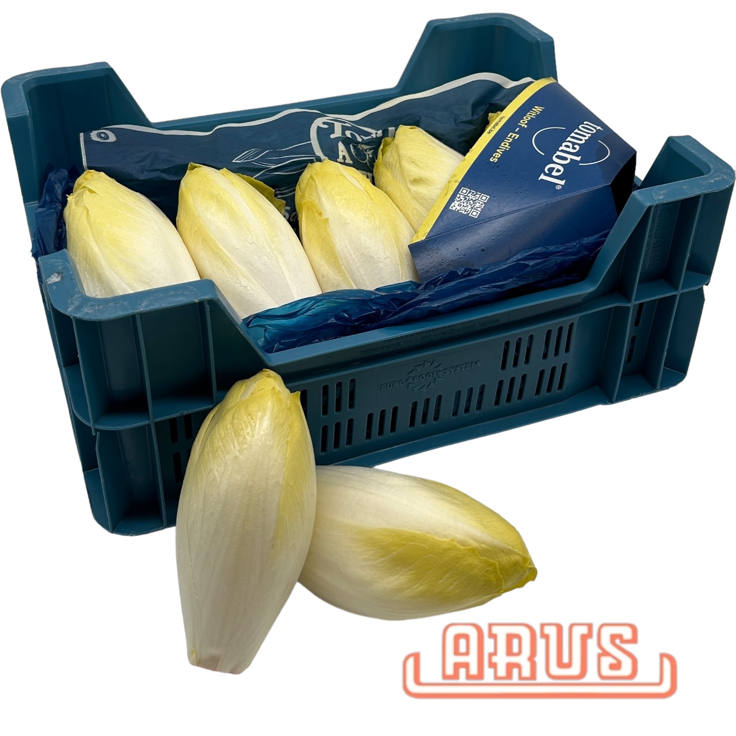 Chicoree 5kg