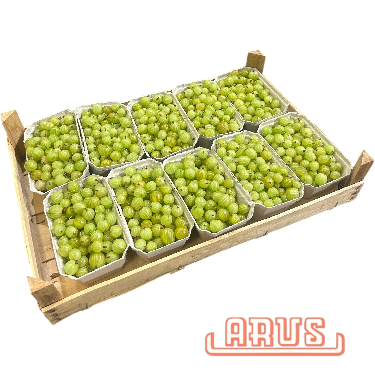 Stachelbeeren grün 10x500g